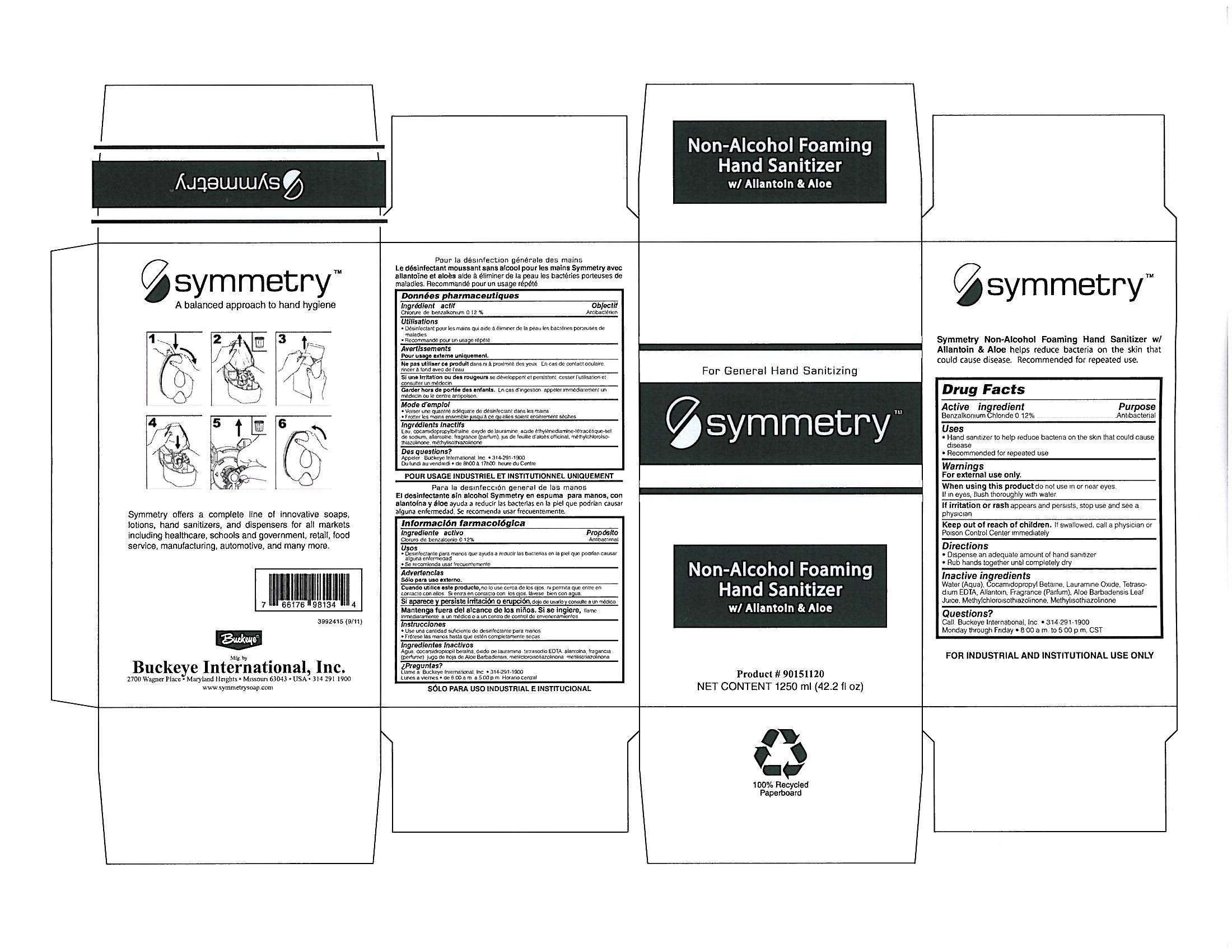 Symmetry Non-Alcohol Foaming Hand Sanitizer  with Allantoin and Aloe